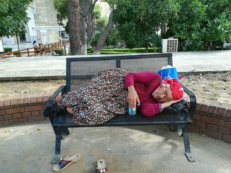 Efe Nine, Sonbaharda Aydın Havasının Tadını Çıkardı