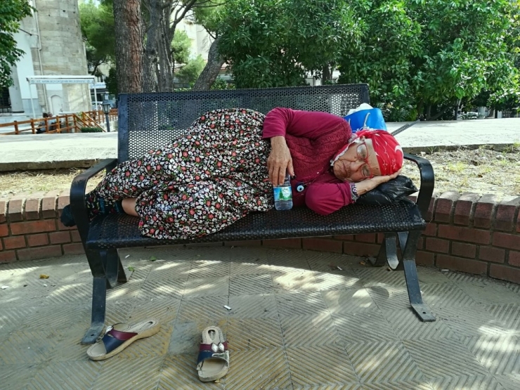 Efe Nine, Sonbaharda Aydın Havasının Tadını Çıkardı