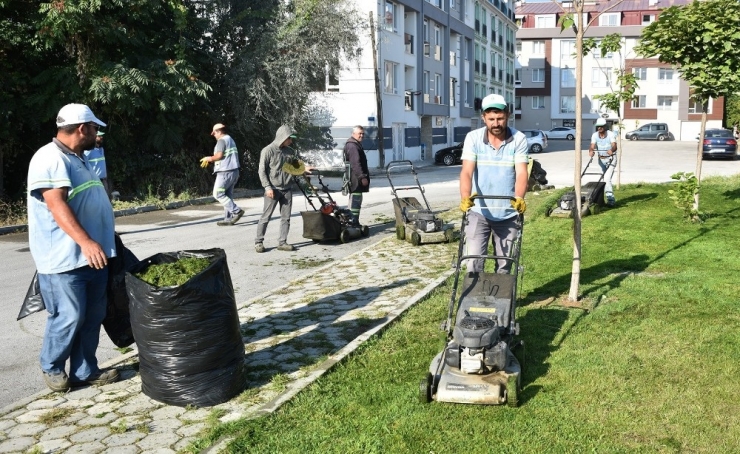 Tepebaşı’nın Parklarında Çalışmalar Sürüyor