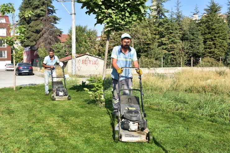 Tepebaşı’nın Parklarında Çalışmalar Sürüyor