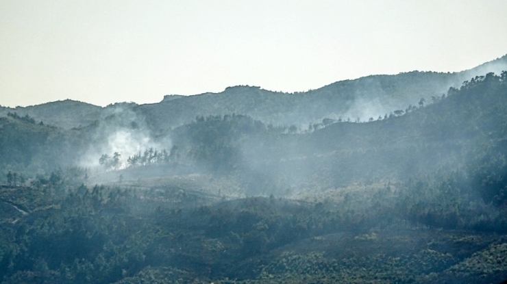 Suriye Sınırında Orman Yangını