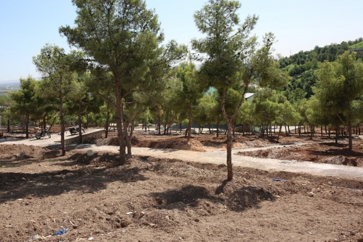 Eyyübiye’de 20 Bin Metrekarelik Yeşil Alan Projesi