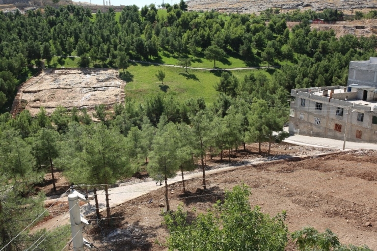 Eyyübiye’de 20 Bin Metrekarelik Yeşil Alan Projesi