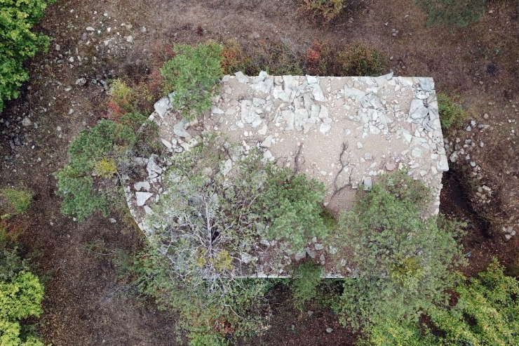 Tarihi Kilisenin Çatısında Büyüyen Ağaçlar Görenlerin Dikkatini Çekiyor