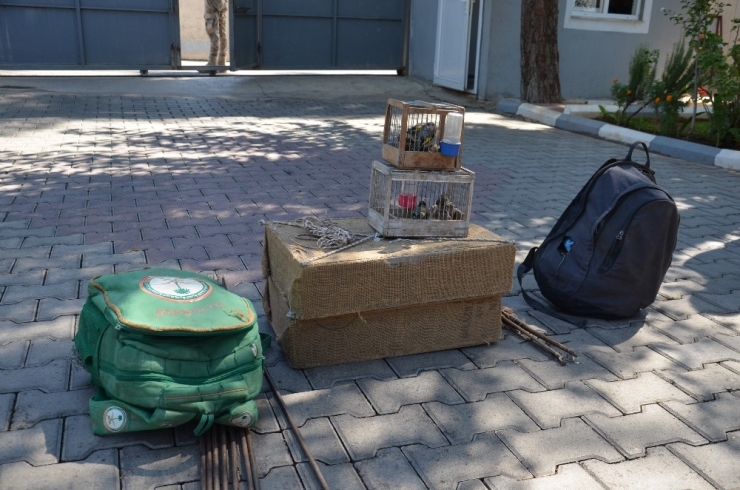 Saka Kuşu Avlayan 2 Kişiye 9 Bin 800 Tl Ceza