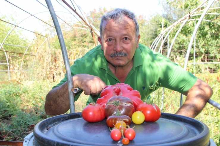 Bir Buçuk Dönüm Alanda Bin Bir Çeşit Ürün Yetiştiriyor