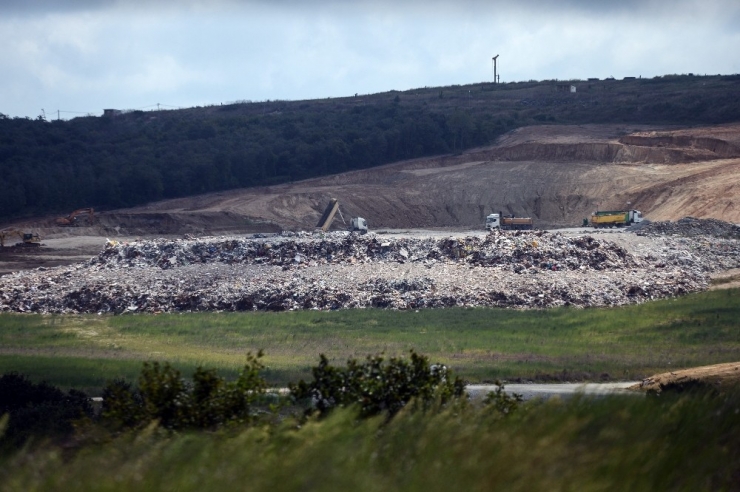 Çöp Dağları Köpeklerin Yuvası Oldu