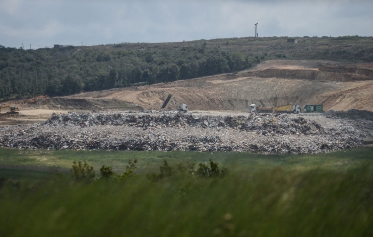 Çöp Dağları Köpeklerin Yuvası Oldu