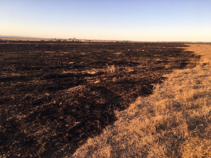 300 Dönümlük Mera Yangında Kül Oldu