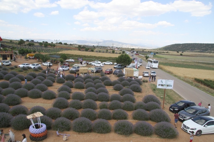 Lavanta Kokulu Köy 750 Bin Ziyaretçi Ağırladı