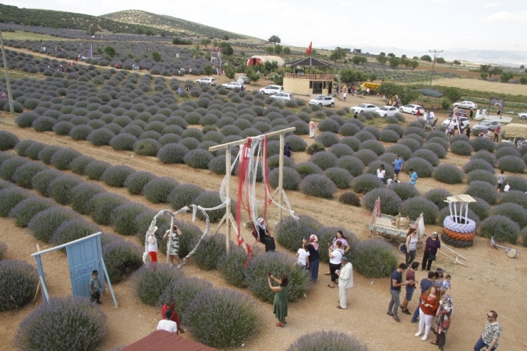 Lavanta Kokulu Köy 750 Bin Ziyaretçi Ağırladı