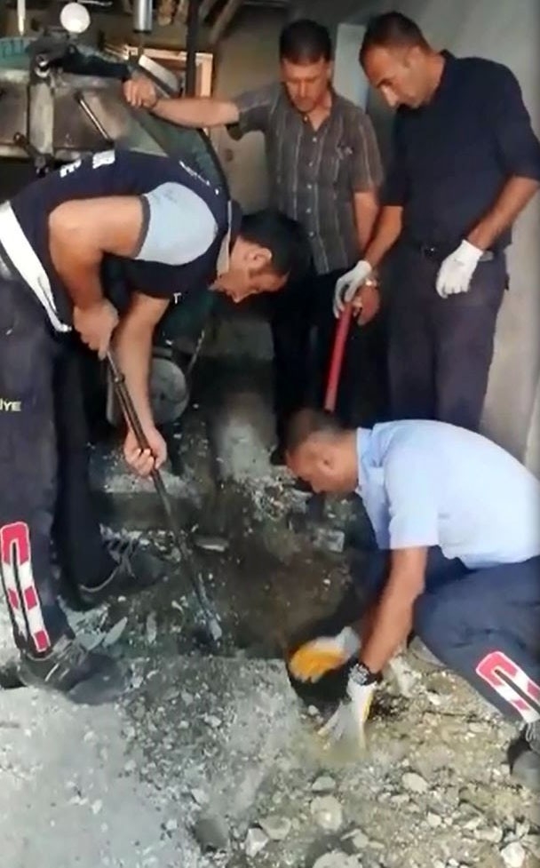 Yavru Kedi Mahsur Kaldığı Yerden Saatler Sonra Çıkarılabildi