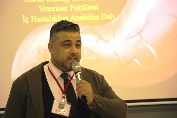 Kedi Köpeklerde Bağırsak Hastalıkları İle Probiyoterapi Ve Fekal Mikrobiyata Transferi Aydın’da Konuşuldu