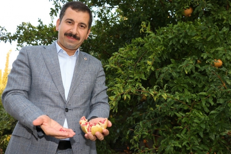 Karaköprü Narı Tescillendi