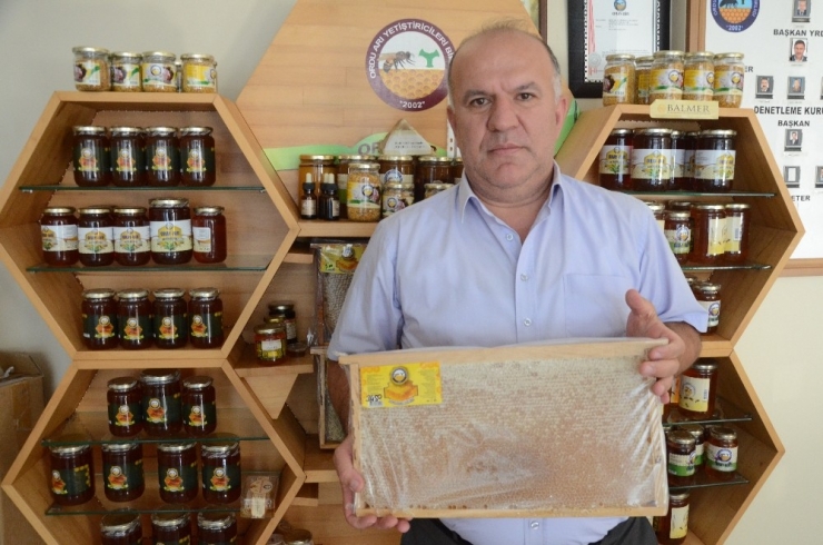 Ordu’da Bal Üretiminde Büyük Düşüş
