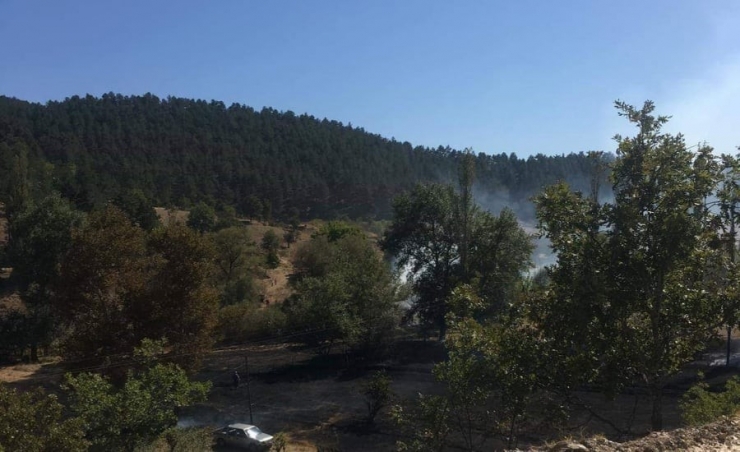 Orman Bölge Müdürlüğü Ekiplerinin Erken Müdahalesi Muhtemel Bir Faciayı Önledi