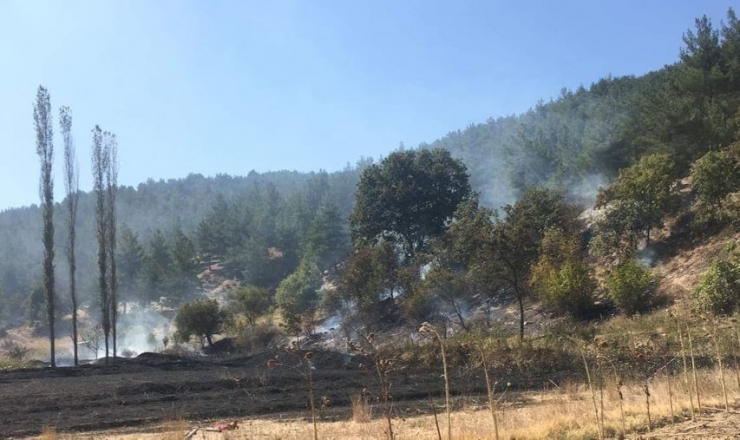 Orman Bölge Müdürlüğü Ekiplerinin Erken Müdahalesi Muhtemel Bir Faciayı Önledi