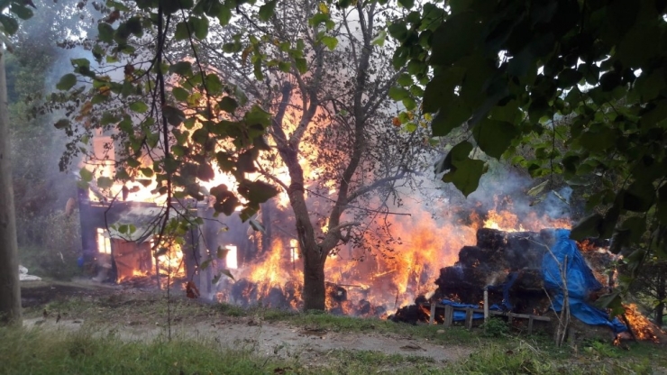 Sinop’ta Ahşap Ev Alevlere Teslim Oldu