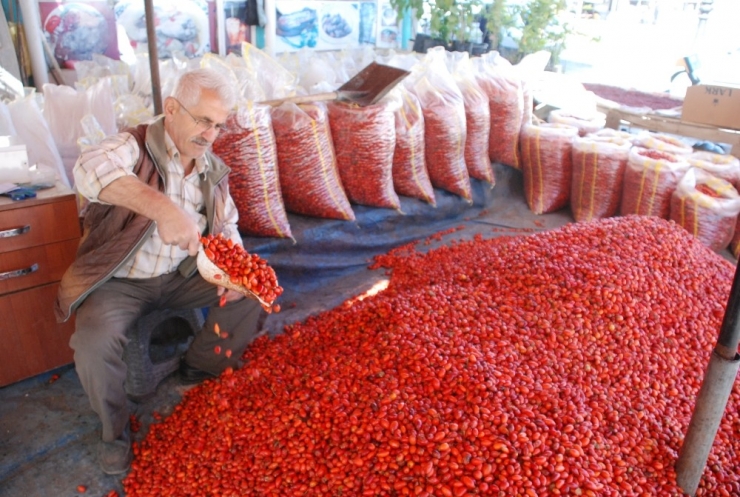 Kuşburnu Bol Olunca Fiyatı Düştü