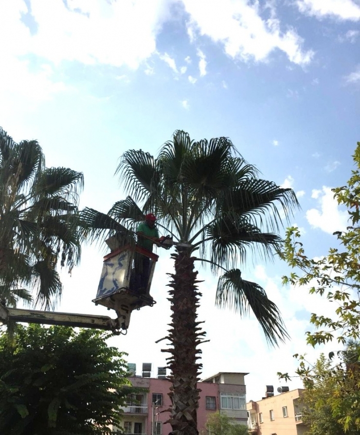 Toroslar’da Yeşil Alanlara Bahar Bakımı