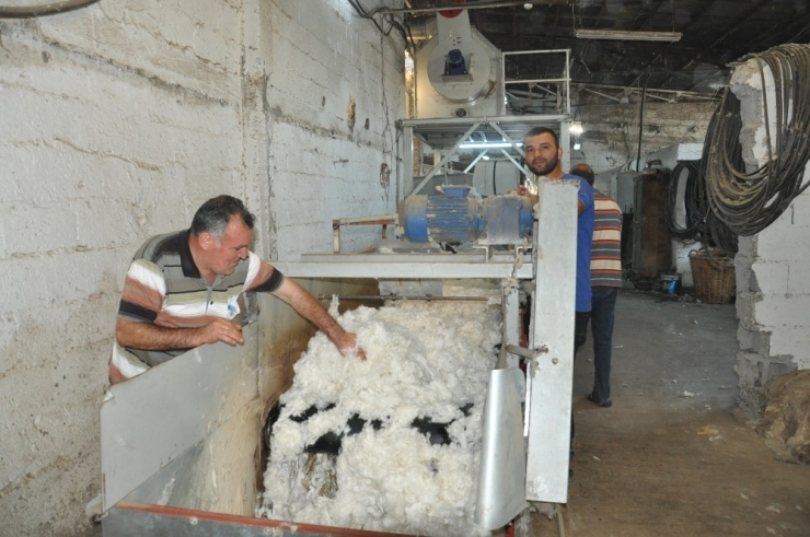 Çırçır Fabrikasında "Beyaz Altın" Mesaisi Başladı