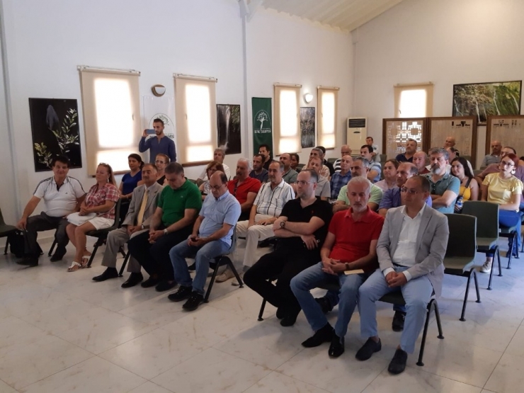 Diyabet Cinsel Yaşamınızı Etkilemesin