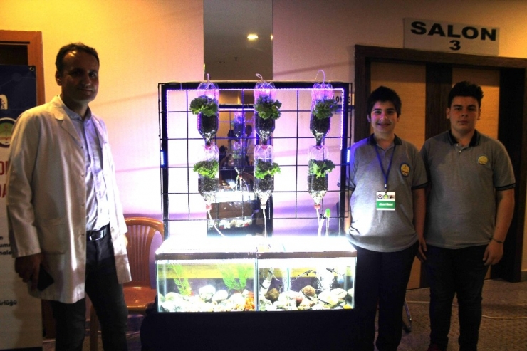 Akvaryumdaki Balıkların Atıkları Marullara Gübre Oluyor