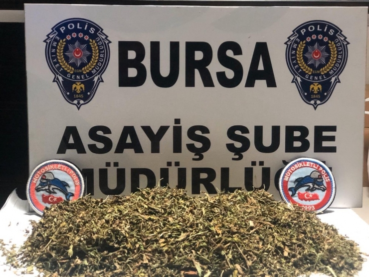 Turşu Bidonuyla Uyuşturucu Servisi