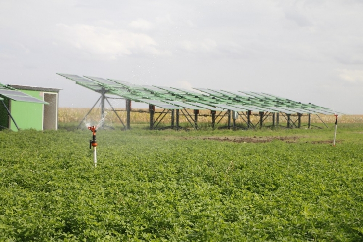 Türkiye’nin Milli Projesi, Dünya Basınında Bm’nin Açlık Raporuna Panzehir Olarak Sunuldu
