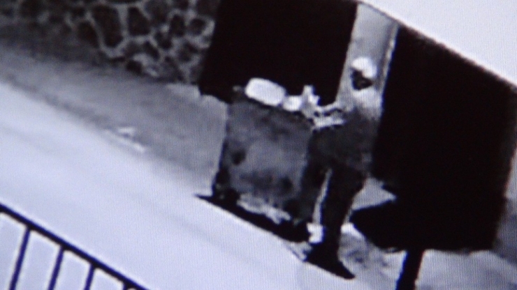 Motosikletin Çarptığı Köpek Telef Oldu