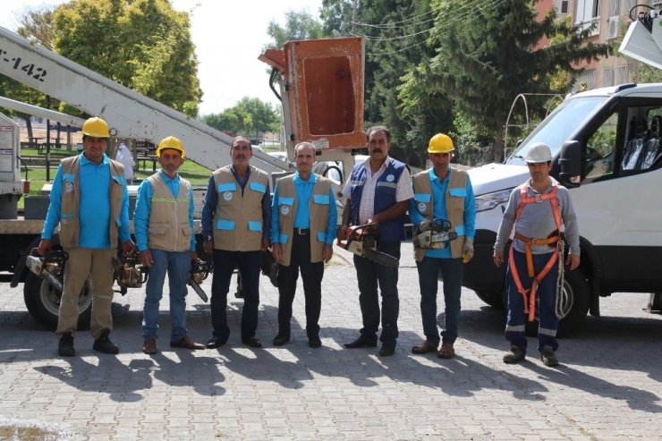 Haliliye Belediyesinden Budama Çalışmaları