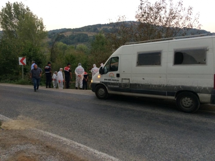 İznik’te 6 Bin Tavuğun Ölü Bulunduğu 200 Haneli Mahalle Karantinaya Alındı