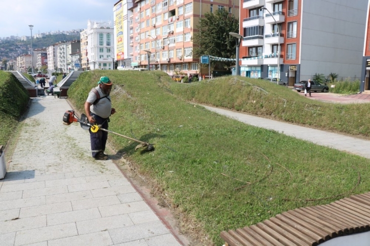 Seka Tüneli’nin Üstündeki Yeşil Alan Bakımdan Geçiyor
