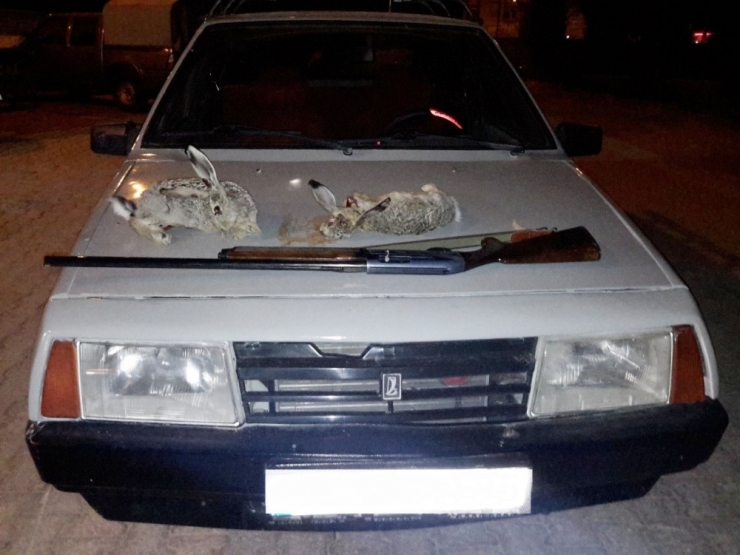 Otomobil Farıyla Tavşan Avlayanlara Suçüstü
