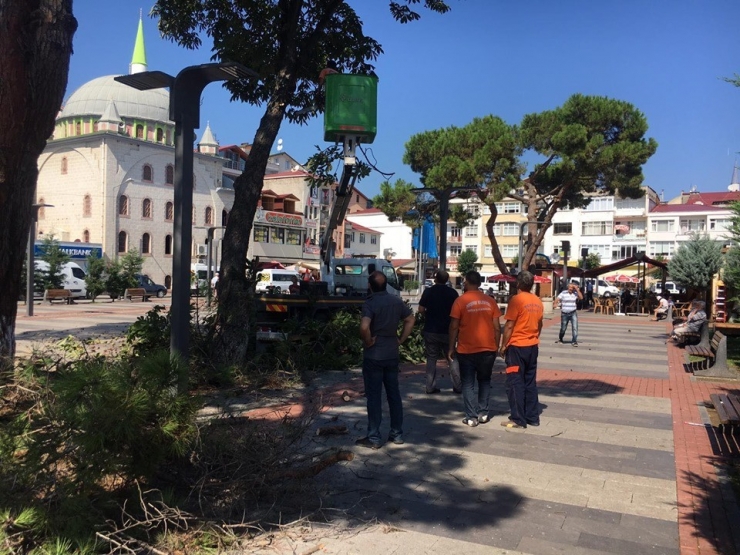 Sakin Şehir Perşembe’de Kış Hazırlıkları Sürüyor