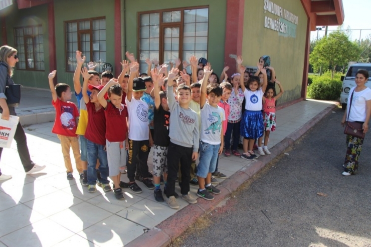 Şanlıurfalı Minik Öğrenciler Fidanları Toprakla Buluşturdu