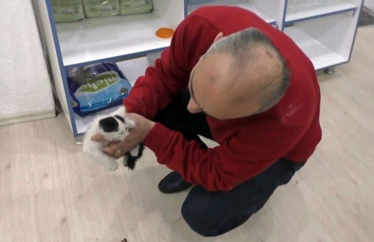 Havalandırma Boşluğuna Düşen Yavru Kediyi İtfaiye Kurtardı