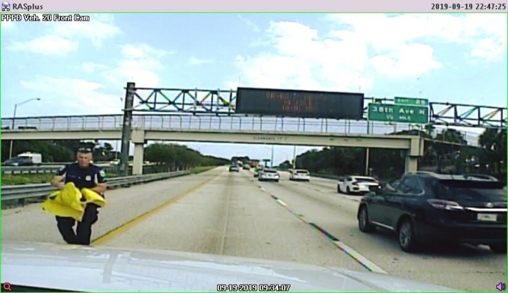 Otoyolda Otomobil Çarpan Köpeği Polis Kurtardı