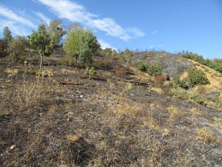 Sandıklı’da Orman Yangını