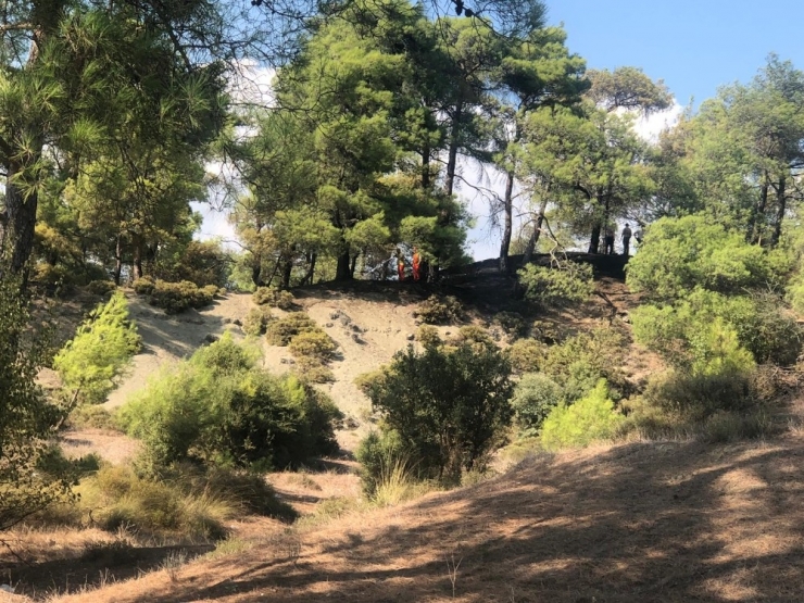 Kaş’ta Arazi Yangını, Çam Ağaçları Yandı