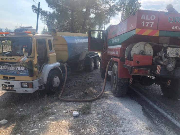 Kaş’ta Arazi Yangını, Çam Ağaçları Yandı