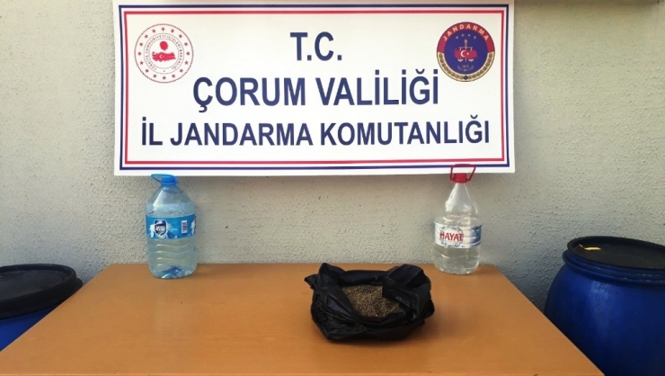 Jandarma’dan Kaçak İçkiye Geçit Yok