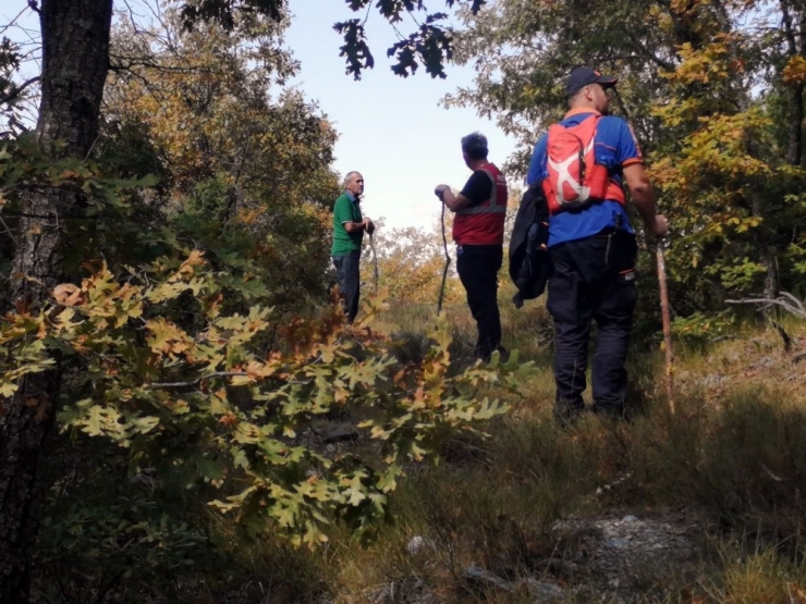 Ormana Çıra Toplamaya Giden Yaşlı Adam 2 Gündür Kayıp
