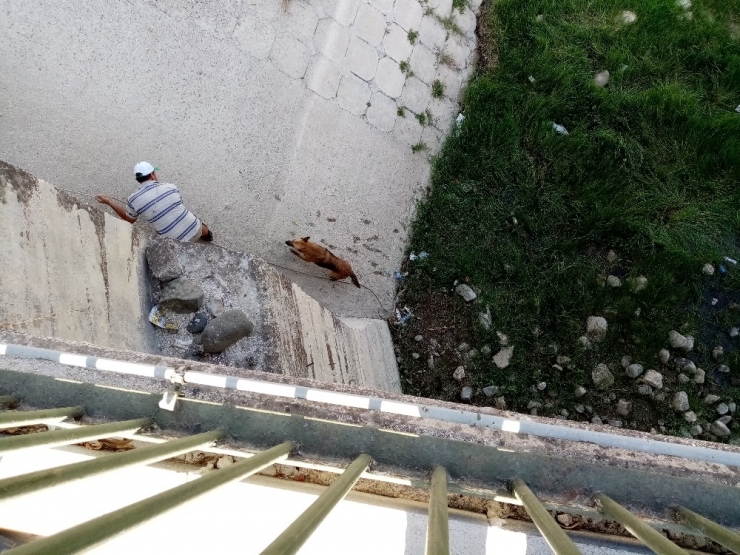 Nehre Düşen Köpek İtfaiyeye Zor Anlar Yaşattı