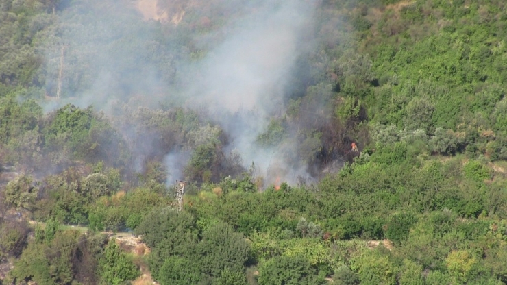 Samandağ’da Zeytinlik Ve Defne Ağaçlarının Bulunduğu Alanında Yangın