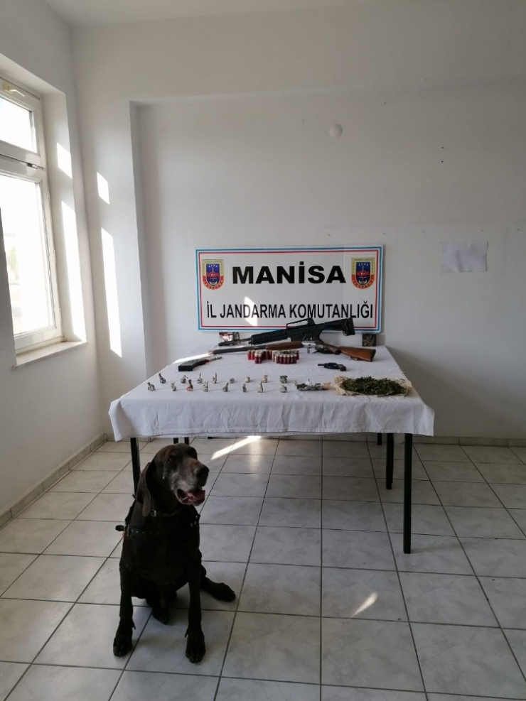 Jandarmadan Narko Köpekli Uyuşturucu Operasyonu: 5 Gözaltı