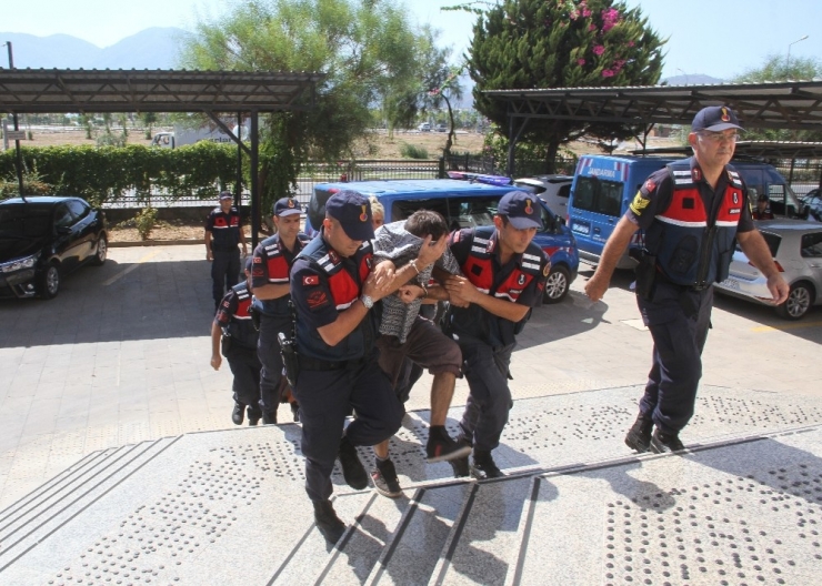 Kedi Mamasında Uyuşturucuya 3 Tutuklama