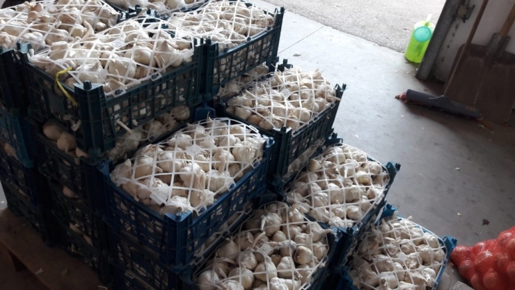 Dolu Sadece Sarımsağı Değil Cepleri De Vurdu