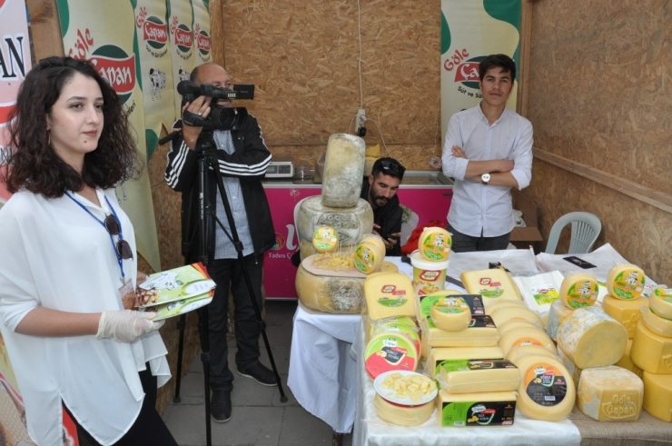 Türkiye’nin Yöresel Peynirleri Kars’ta Buluştu