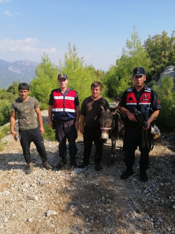 Sürüyü Bırakıp Kaybolan Çoban Kaya Blokları Arasında Bulundu
